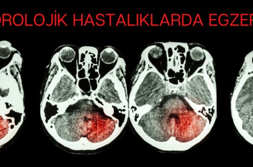 Nörolojik Hastalıklarda Egzersizin Önemi